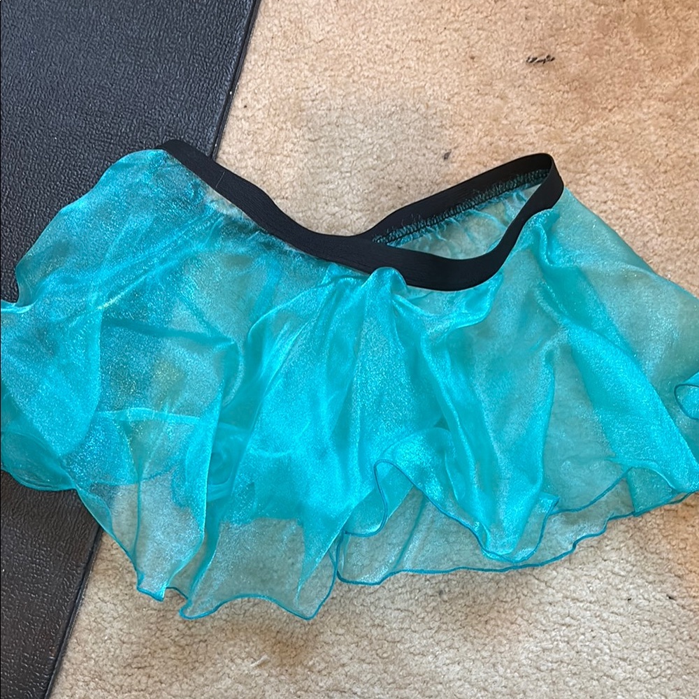 Sheer Turquoise Skirt